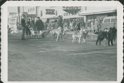 Dogs pulling a sled during a parade (ddr-densho-321-342)