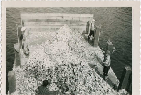 Men working on an oyster farm (ddr-densho-296-80)