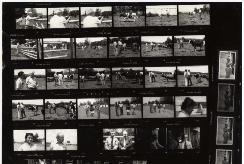Contact Sheet and Envelope (ddr-densho-1007-1363-mezzanine-b4f25acc35)