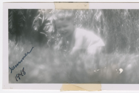 David in grass, Summer 1948 (ddr-densho-462-48)