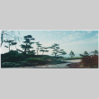 Straus garden project (ddr-densho-377-3030)