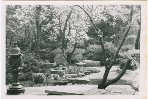 View of a Japanese garden (ddr-densho-377-277)