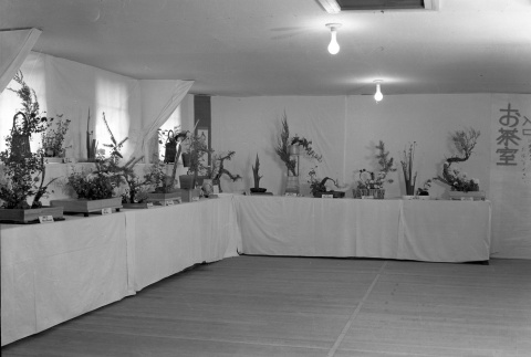 Ikebana exhibit in camp (ddr-fom-1-122)