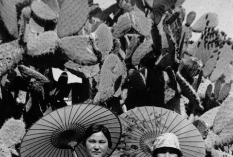 Two women with parasols next to large nopal cactus (ddr-ajah-6-927)
