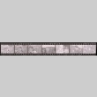 Negative film strip for Farewell to Manzanar scene stills (ddr-densho-317-98)