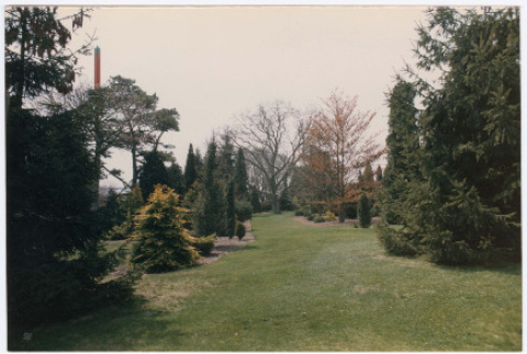 Photograph (ddr-densho-377-2545-mezzanine-28c4c7b0bf)