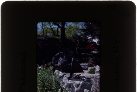Garden at the Paredes project (ddr-densho-377-535)