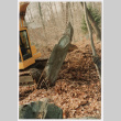 Moving a rock (ddr-densho-377-2370)