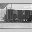 Japanese Americans relaxing in shade (ddr-densho-151-427)