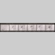 Negative film strip for Farewell to Manzanar scene stills (ddr-densho-317-63)
