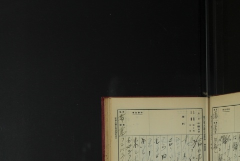 Page 339 (ddr-densho-255-3-master-461f9db027)