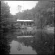 House with pond (ddr-densho-377-1379)