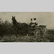 Japanese Americans visiting a farm (ddr-densho-182-103)