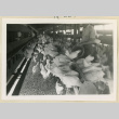 Feeding chickens (ddr-densho-37-1617)