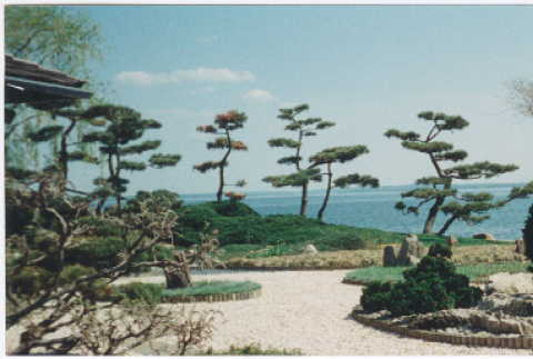 View of water and Straus garden project (ddr-densho-377-3020)