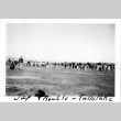 Large Crowd at Tule Lake Incarceration Camp (ddr-csujad-13-14)