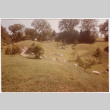 Hilly grassy field (ddr-densho-377-2266)