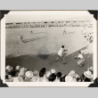Group playing baseball (ddr-densho-587-89)