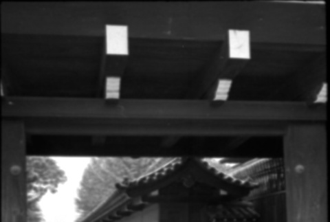 Woman walking along walkway (ddr-densho-426-2339)