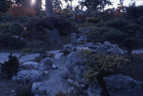 Lower waterfall pond on the Mountainside, looking West (ddr-densho-354-276)