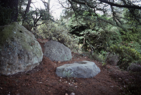 Stones above Japanese Garden (ddr-densho-354-1107)