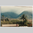 Mist-covered mountains in Maui (ddr-densho-368-303)