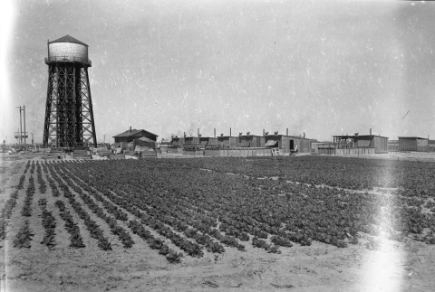 Agrigulture fields and buildings (ddr-fom-1-816)