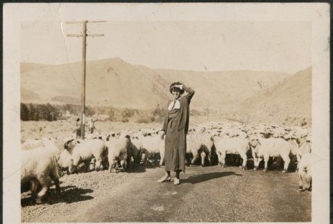 Woman with sheep (ddr-densho-316-106)