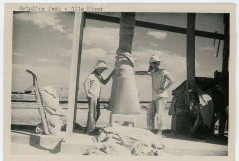 Grinding feed at Gila River (ddr-densho-37-2158)