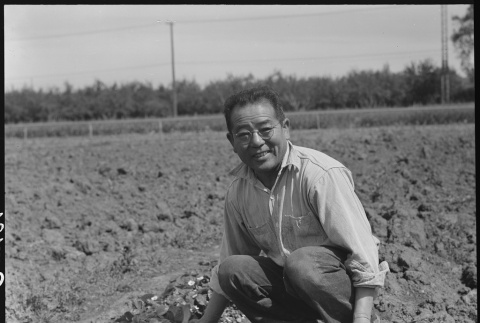 Issei horticulturist prior to mass removal (ddr-densho-151-452)
