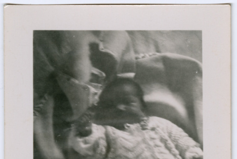 Baby among blankets (ddr-densho-329-777)