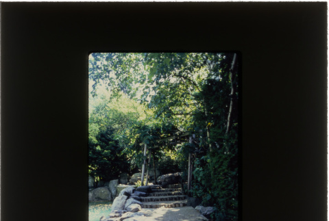 Color slide (ddr-densho-377-493-mezzanine-340c3209f6)