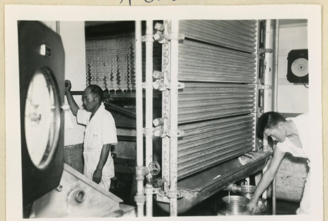 Workers at a dairy farm (ddr-densho-37-1616)