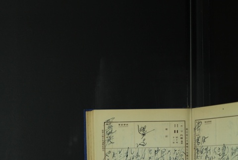 Page 339 (ddr-densho-255-6-master-1e479dc4f5)