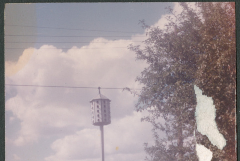 Woman standing on path in yard (ddr-densho-523-320)