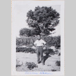 Boy standing on dirt road (ddr-densho-464-113)