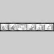 Negative film strip for Farewell to Manzanar scene stills (ddr-densho-317-151)