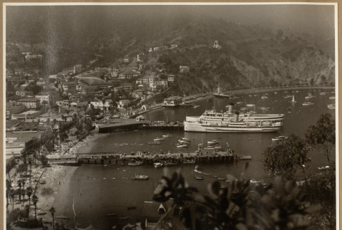 View of Avalon Bay (ddr-densho-542-782)