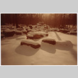 Snowy rocks in forest (ddr-densho-377-2582)