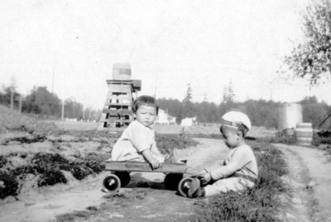 Two children on a farm (ddr-densho-2-6)