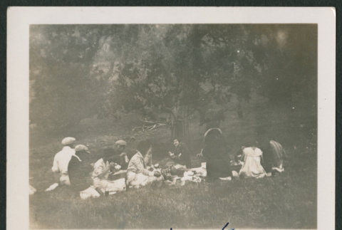 picnic (ddr-densho-378-465)