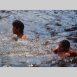 Campers swimming (ddr-densho-336-1516)