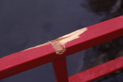 Close up of the damage to the railing of the Moon Bridge (ddr-densho-354-1170)