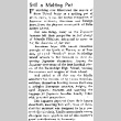 Still a Melting Pot (April 1, 1942) (ddr-densho-56-735)