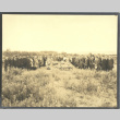 A group gathered for a burial (ddr-densho-293-28)