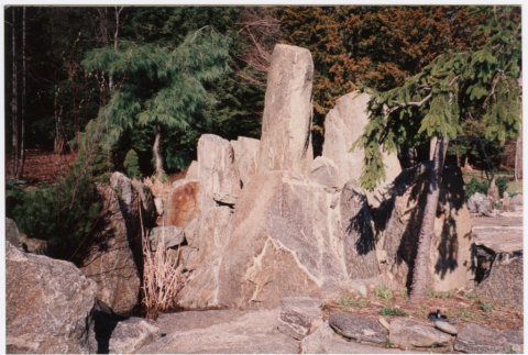 Rock feature (ddr-densho-377-1971)