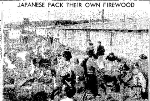 Japanese Organize Own Government at Puyallup (May 6, 1942) (ddr-densho-56-787)
