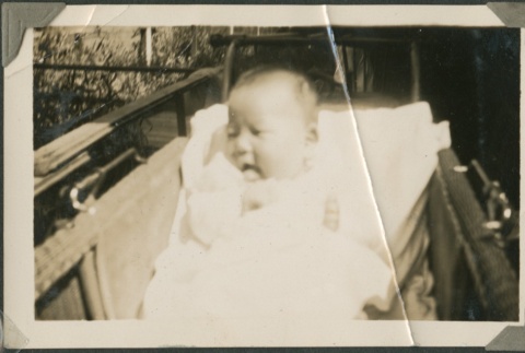 A baby in a buggy (ddr-densho-321-743)