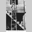 Man standing on ladder (ddr-ajah-6-487)