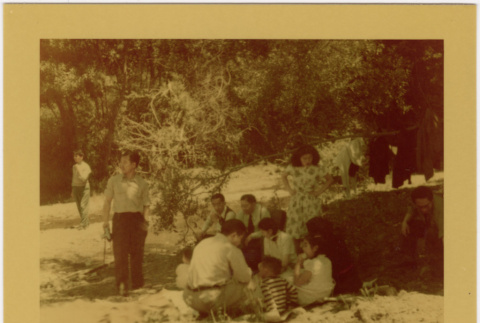 Group at picnic (ddr-densho-426-178)